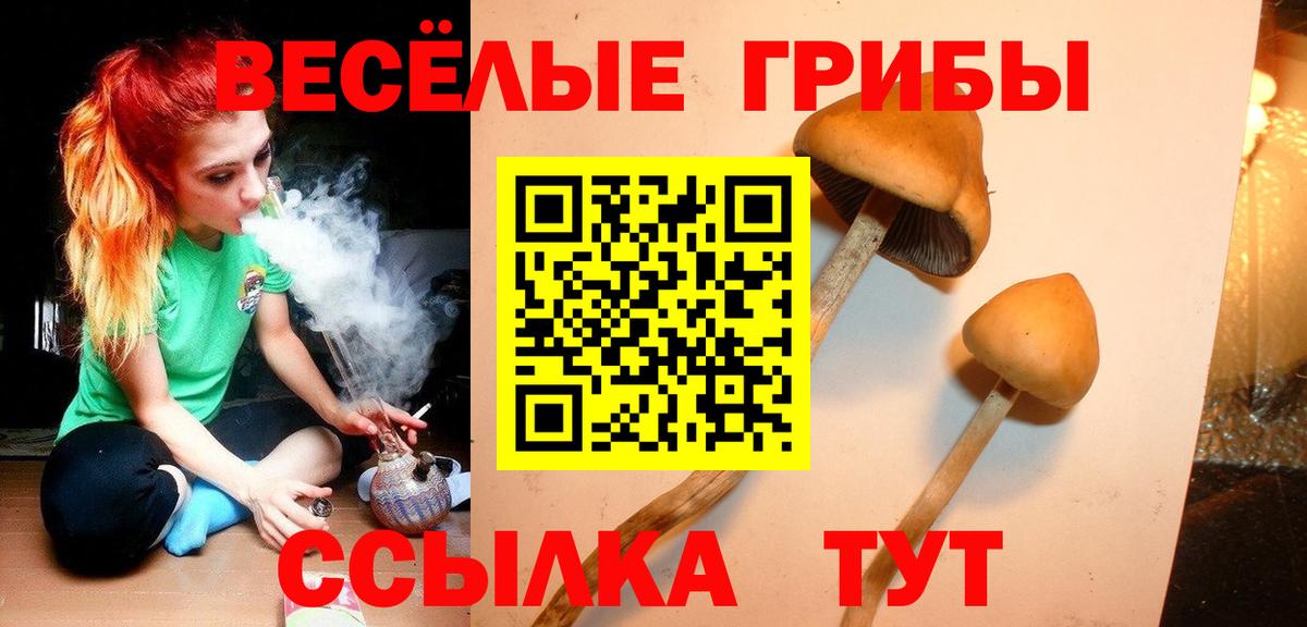 Галлюциногенные грибы GOLDEN TEACHER Ачинск